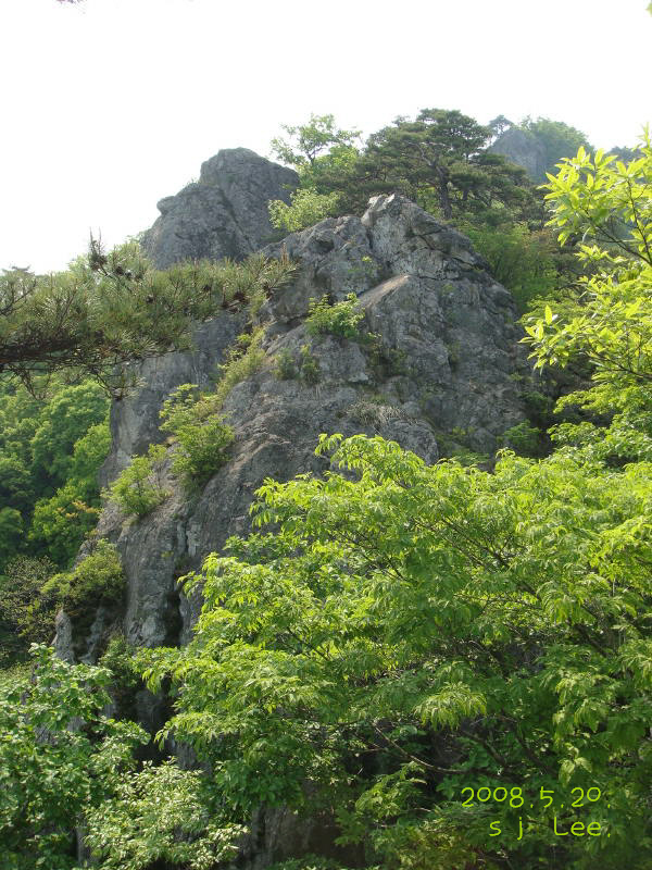 이미지를 클릭하면 원본을 보실 수 있습니다.