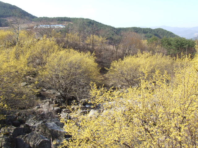 이미지를 클릭하면 원본을 보실 수 있습니다.