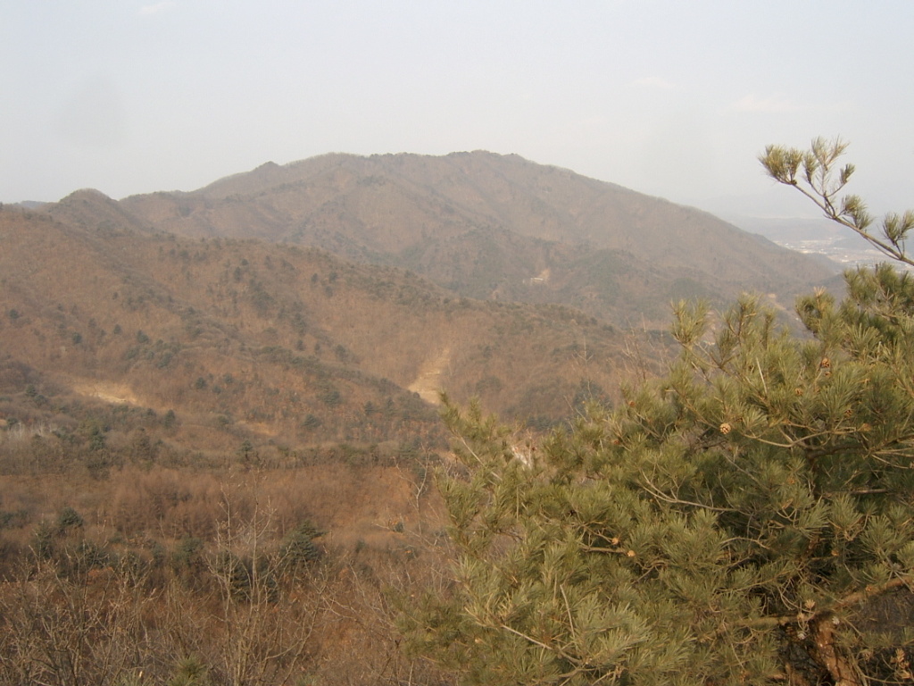 이미지를 클릭하면 원본을 보실 수 있습니다.