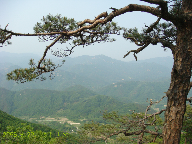 이미지를 클릭하면 원본을 보실 수 있습니다.