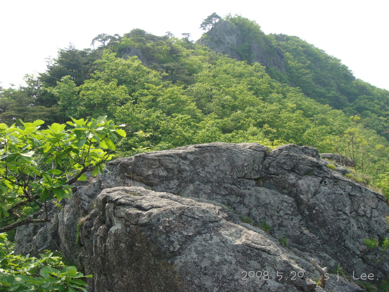 이미지를 클릭하면 원본을 보실 수 있습니다.