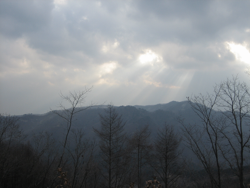 이미지를 클릭하면 원본을 보실 수 있습니다.