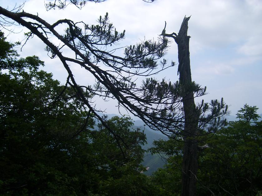 이미지를 클릭하면 원본을 보실 수 있습니다.