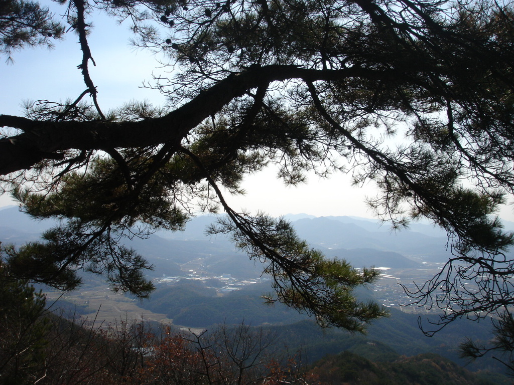 이미지를 클릭하면 원본을 보실 수 있습니다.