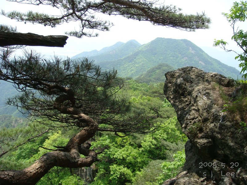 이미지를 클릭하면 원본을 보실 수 있습니다.