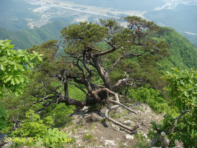 이미지를 클릭하면 원본을 보실 수 있습니다.
