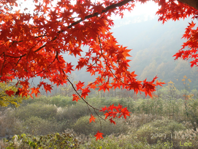 이미지를 클릭하면 원본을 보실 수 있습니다.