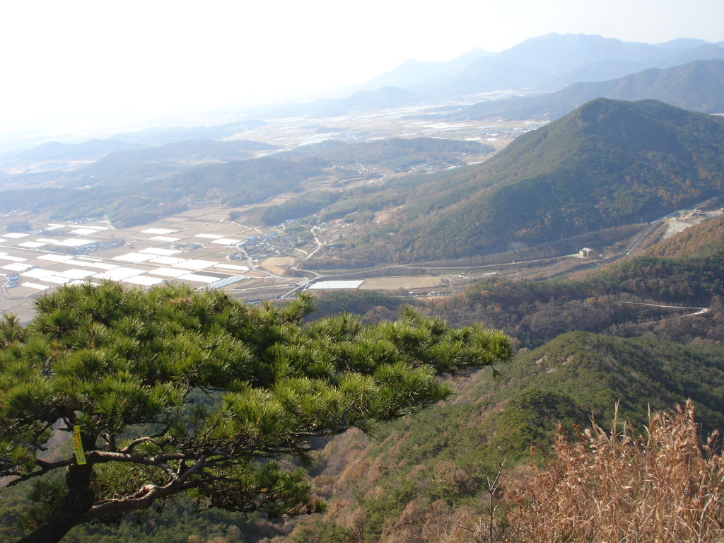 이미지를 클릭하면 원본을 보실 수 있습니다.