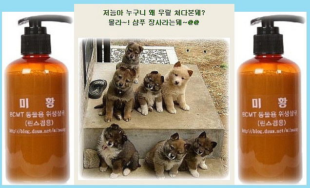 이미지를 클릭하면 원본을 보실 수 있습니다.