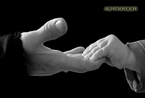 이미지를 클릭하면 원본을 보실 수 있습니다.