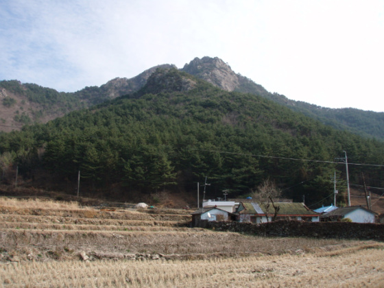 이미지를 클릭하면 원본을 보실 수 있습니다.