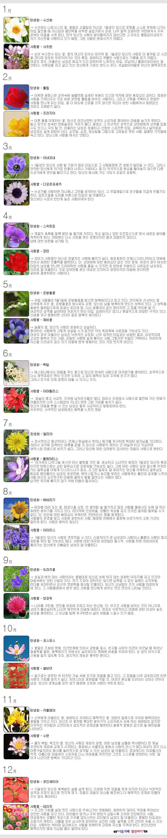이미지를 클릭하면 원본을 보실 수 있습니다.