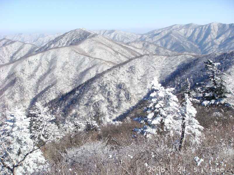 이미지를 클릭하면 원본을 보실 수 있습니다.