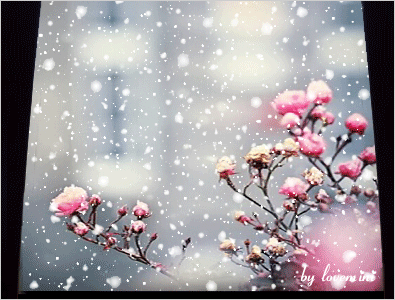 ÀÌ¹ÌÁö¸¦ Å¬¸¯ÇÏ¸é ¿øº»À» º¸½Ç ¼ö ÀÖ½À´Ï´Ù.