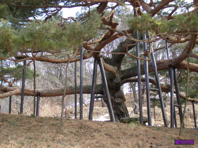 이미지를 클릭하면 원본을 보실 수 있습니다.