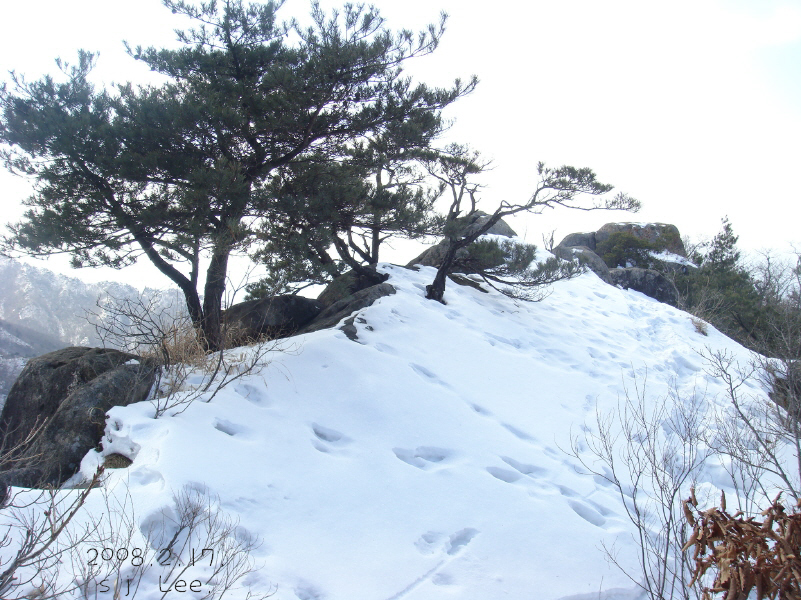 이미지를 클릭하면 원본을 보실 수 있습니다.