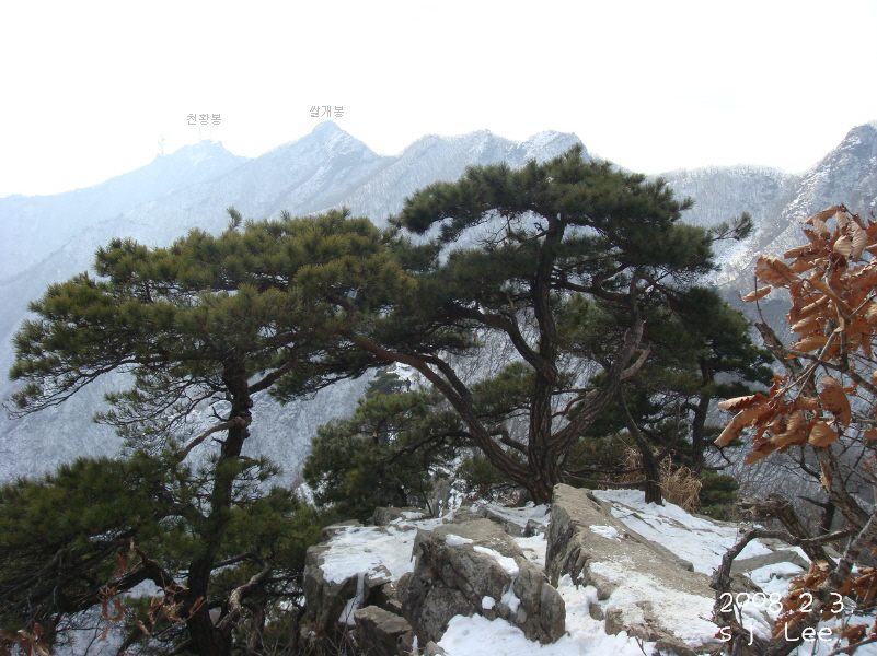 이미지를 클릭하면 원본을 보실 수 있습니다.