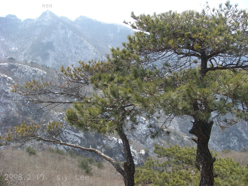 이미지를 클릭하면 원본을 보실 수 있습니다.