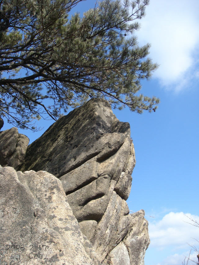 이미지를 클릭하면 원본을 보실 수 있습니다.