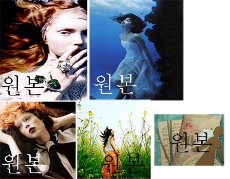이미지를 클릭하면 원본을 보실 수 있습니다.