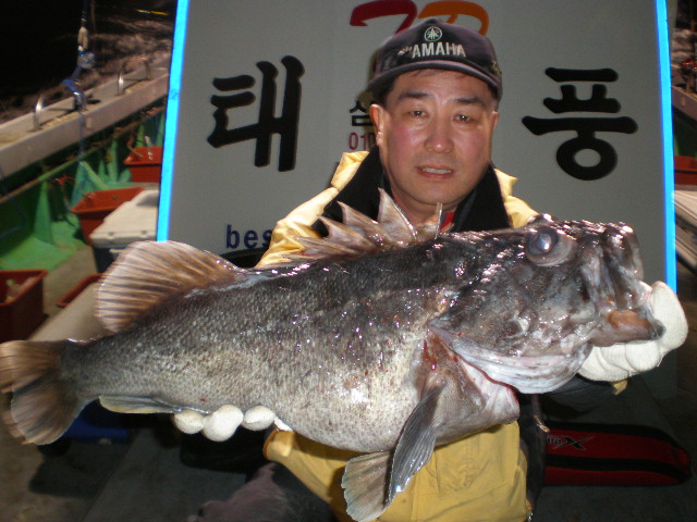 이미지를 클릭하면 원본을 보실 수 있습니다.