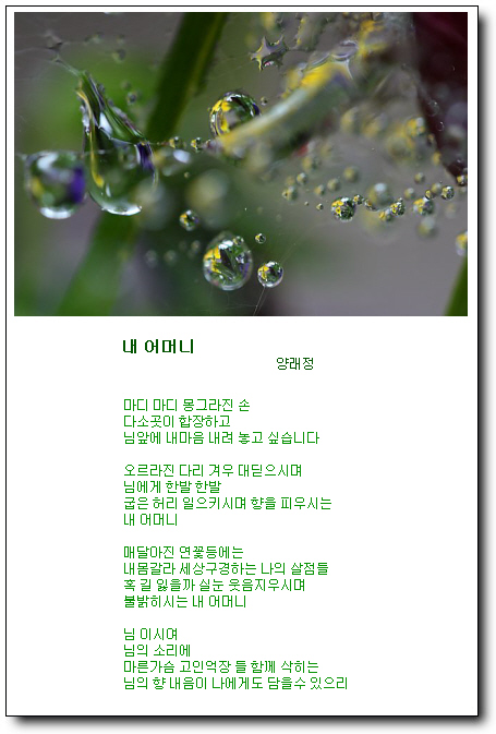 이미지를 클릭하면 원본을 보실 수 있습니다.