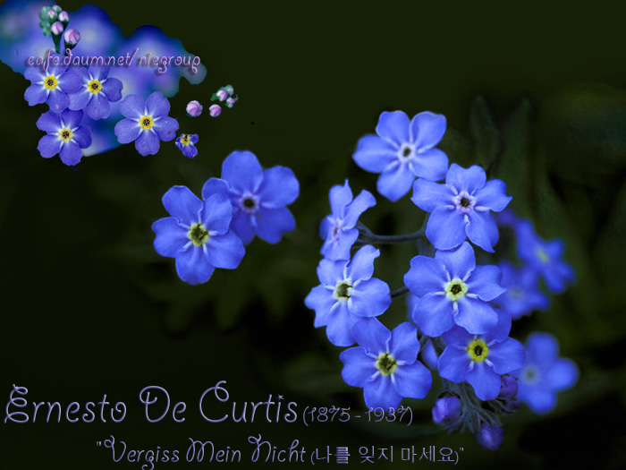 title=http://cafe.daum.net/niegroup
