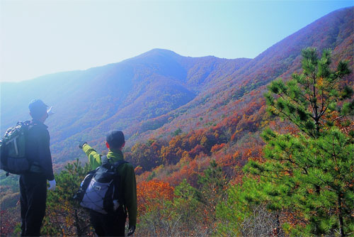 이미지를 클릭하면 원본을 보실 수 있습니다.