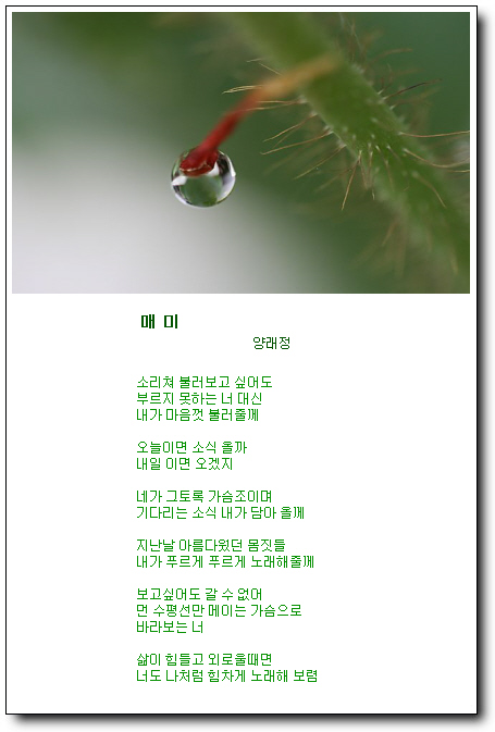 이미지를 클릭하면 원본을 보실 수 있습니다.