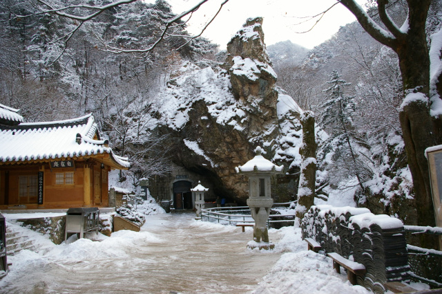 이미지를 클릭하면 원본을 보실 수 있습니다.