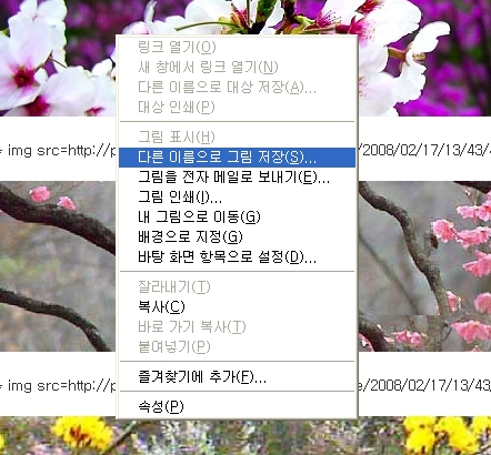 이미지를 클릭하면 원본을 보실 수 있습니다.