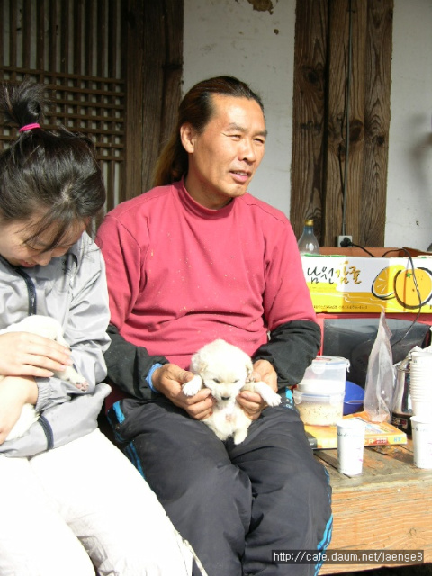 이미지를 클릭하면 원본을 보실 수 있습니다.