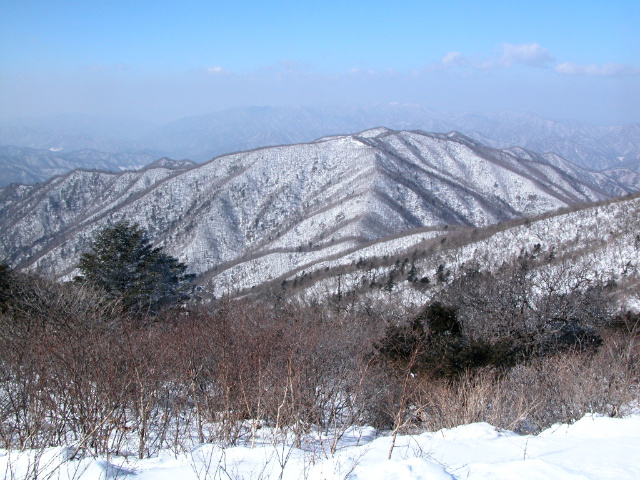 이미지를 클릭하면 원본을 보실 수 있습니다.