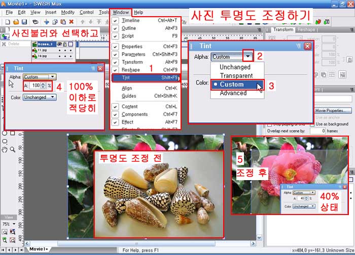이미지를 클릭하면 원본을 보실 수 있습니다.