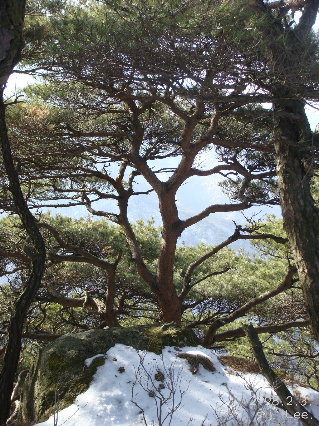 이미지를 클릭하면 원본을 보실 수 있습니다.