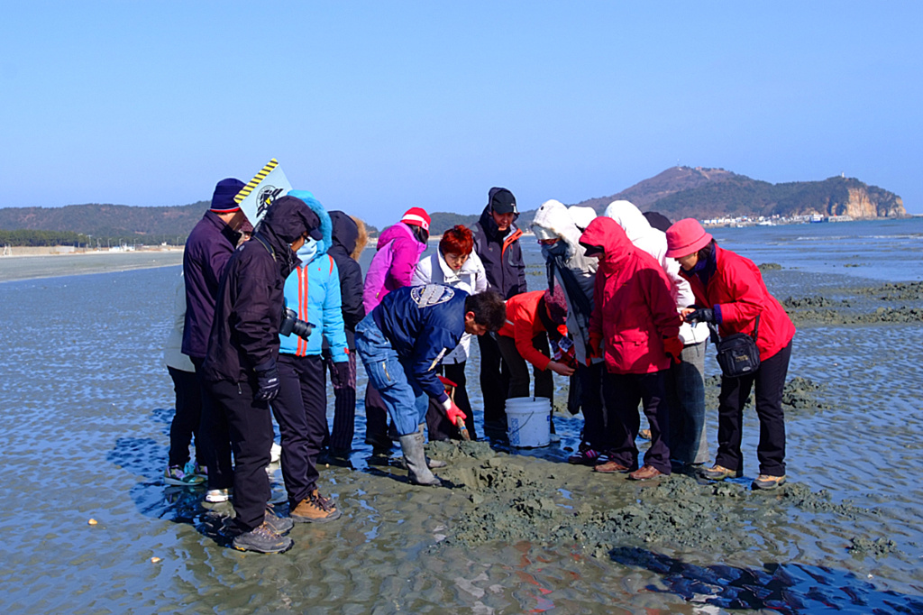 이미지를 클릭하면 원본을 보실 수 있습니다.