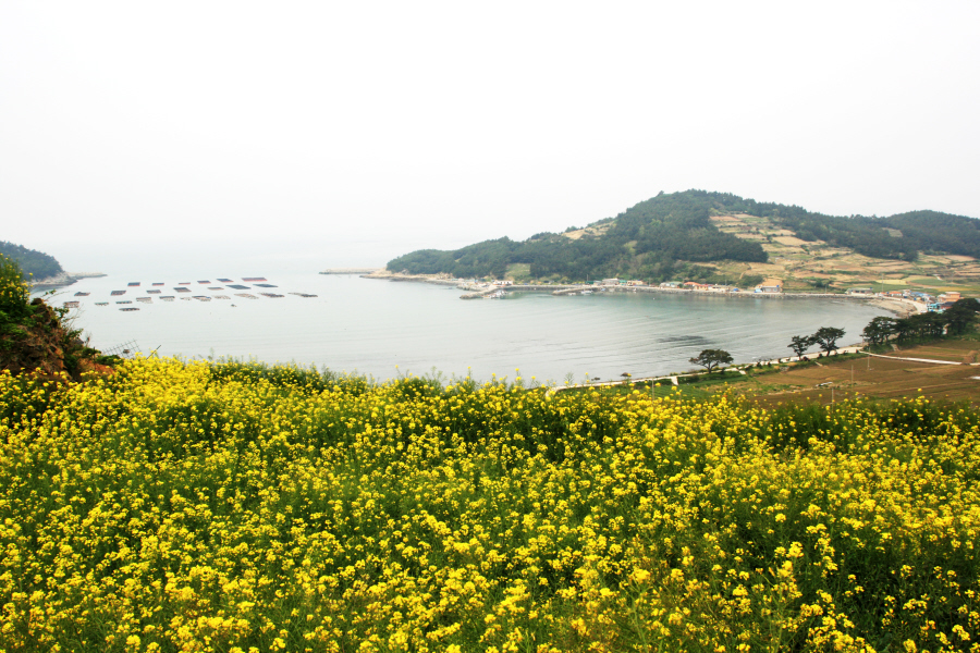 이미지를 클릭하면 원본을 보실 수 있습니다.