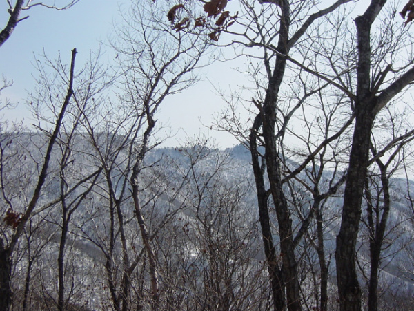 이미지를 클릭하면 원본을 보실 수 있습니다.