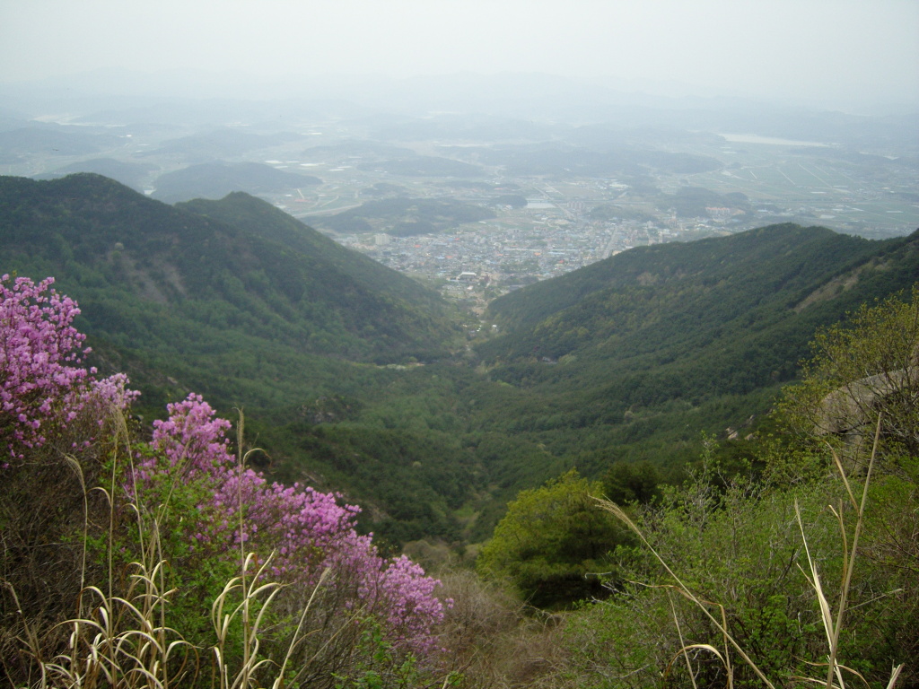 이미지를 클릭하면 원본을 보실 수 있습니다.