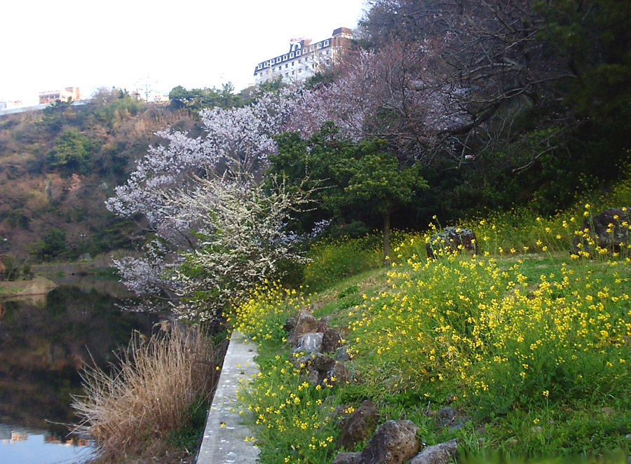 이미지를 클릭하면 원본을 보실 수 있습니다.