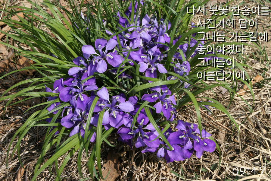 이미지를 클릭하면 원본을 보실 수 있습니다.
