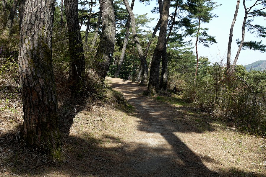 이미지를 클릭하면 원본을 보실 수 있습니다.