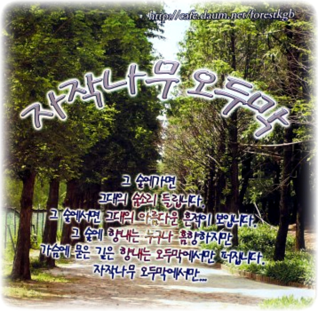이미지를 클릭하면 원본을 보실 수 있습니다.