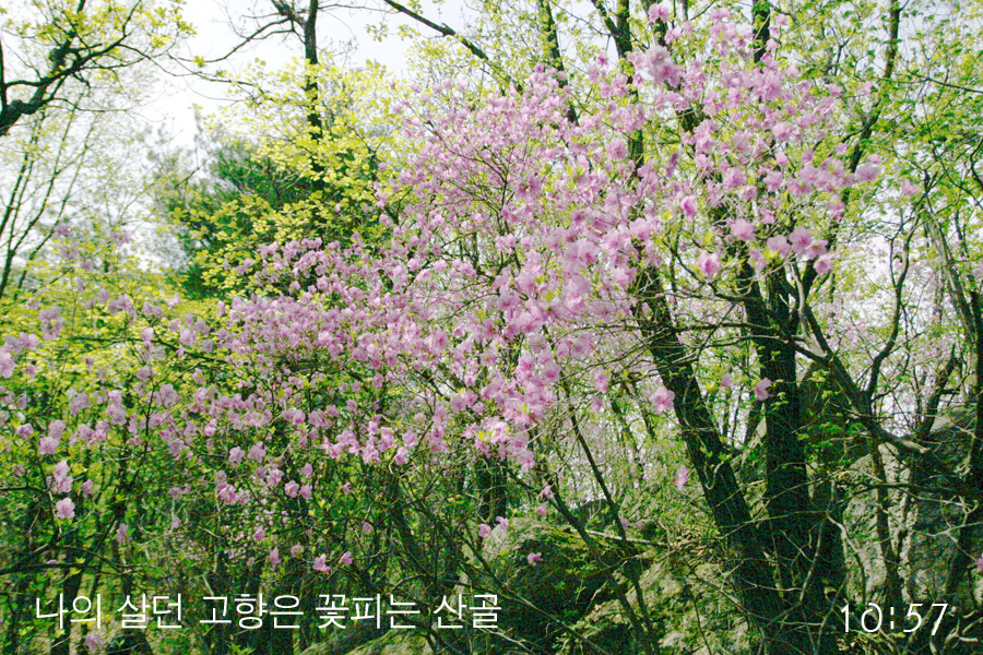 이미지를 클릭하면 원본을 보실 수 있습니다.