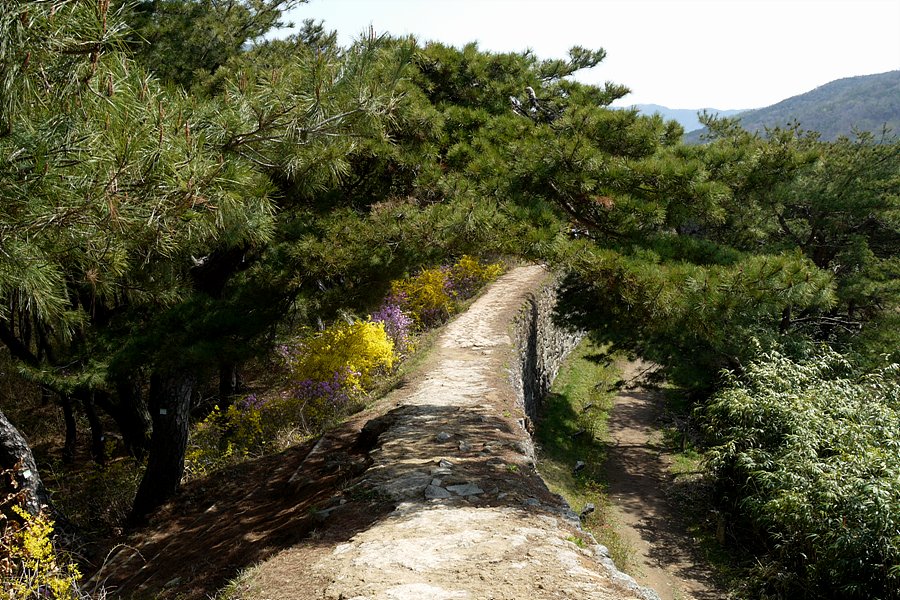 이미지를 클릭하면 원본을 보실 수 있습니다.