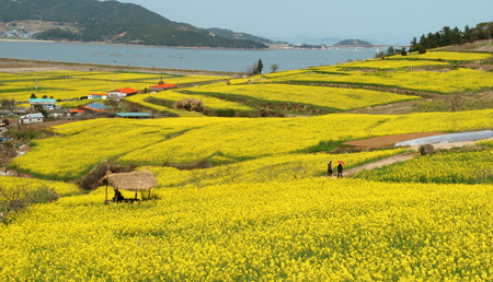 이미지를 클릭하면 원본을 보실 수 있습니다.