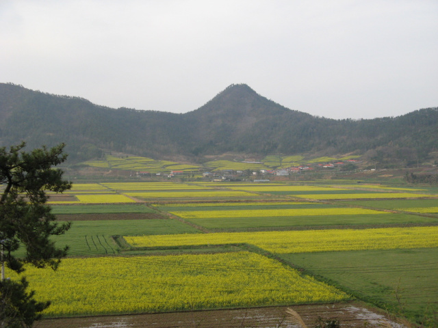 이미지를 클릭하면 원본을 보실 수 있습니다.