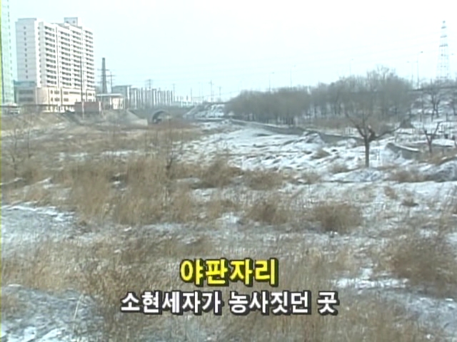 이미지를 클릭하면 원본을 보실 수 있습니다.