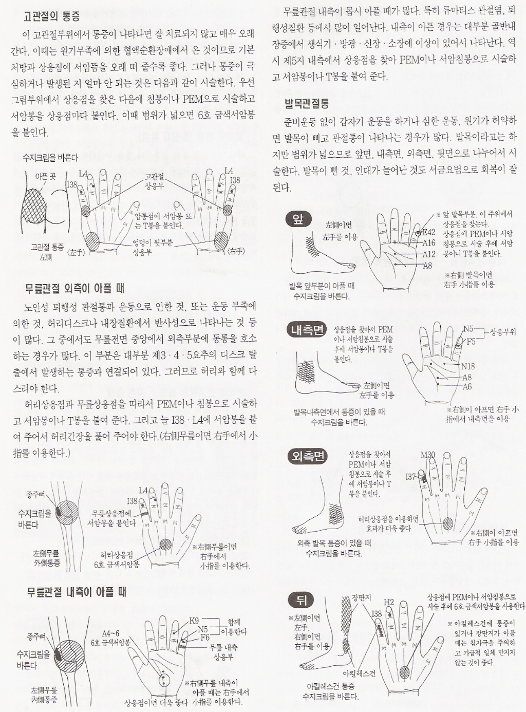 고려수지침요법학회 이미지