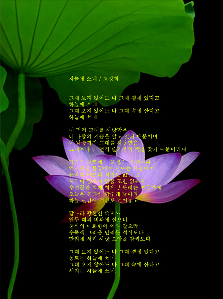 이미지를 클릭하면 원본을 보실 수 있습니다.